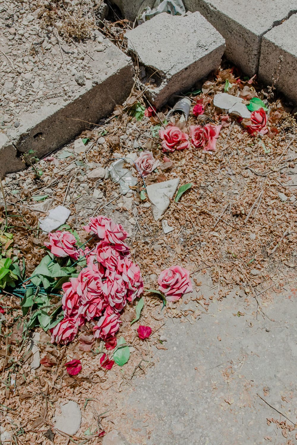 Fallen leaves, twigs and rose petals on the side curb