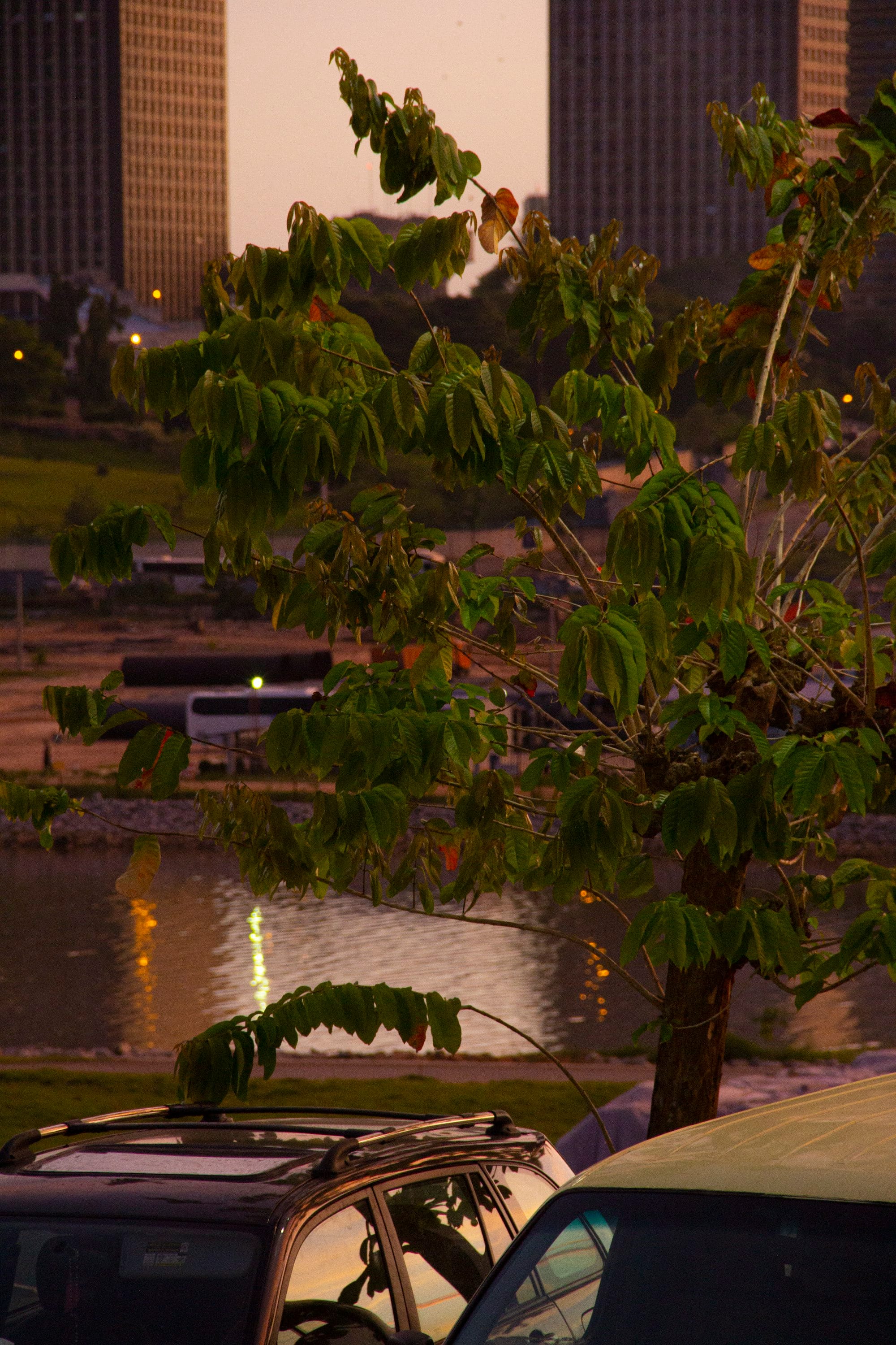 Photo of a parking lot at night, with a tree and water in the background. Photo by Ange-Frédéric Koffi