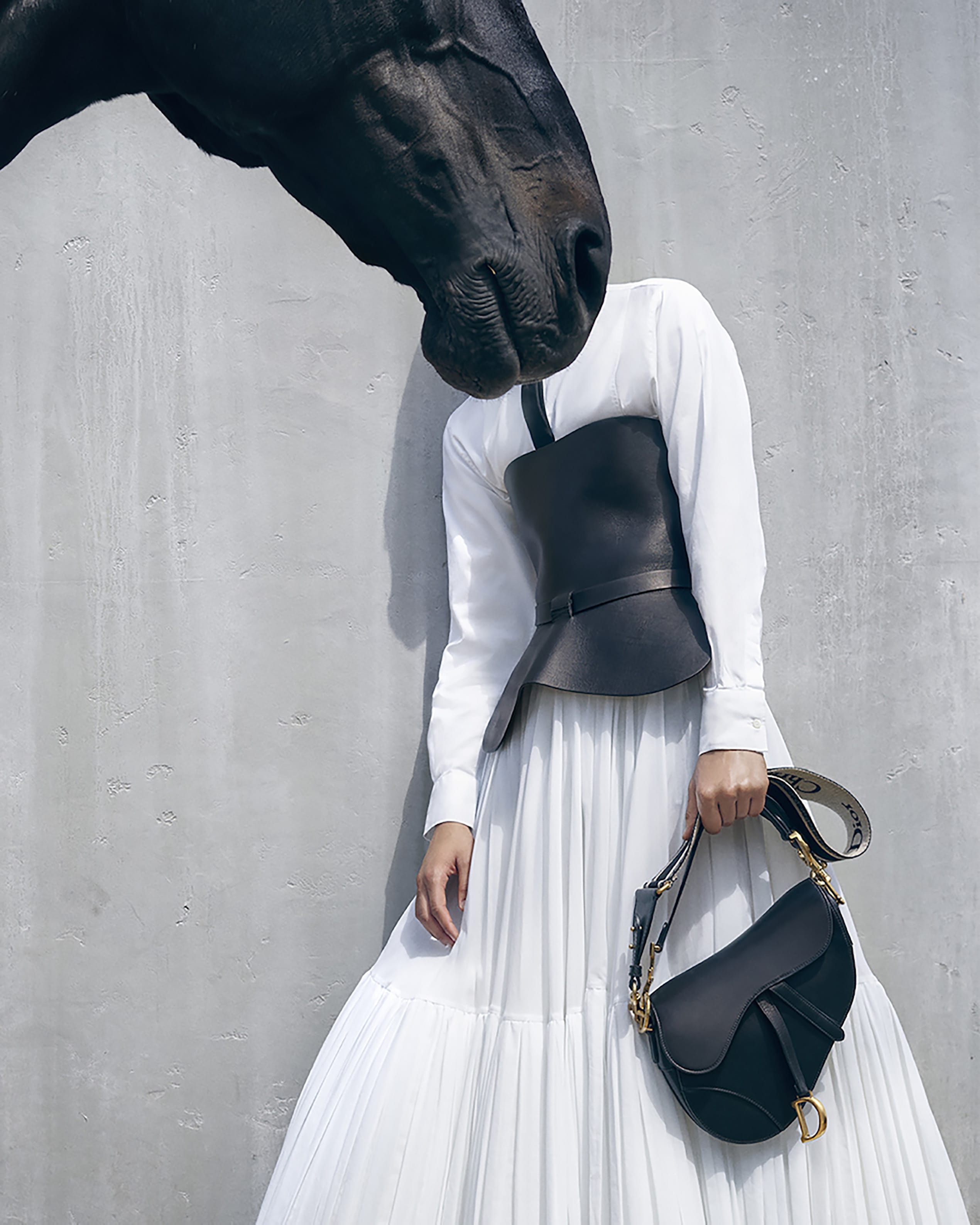 A girl and a horse