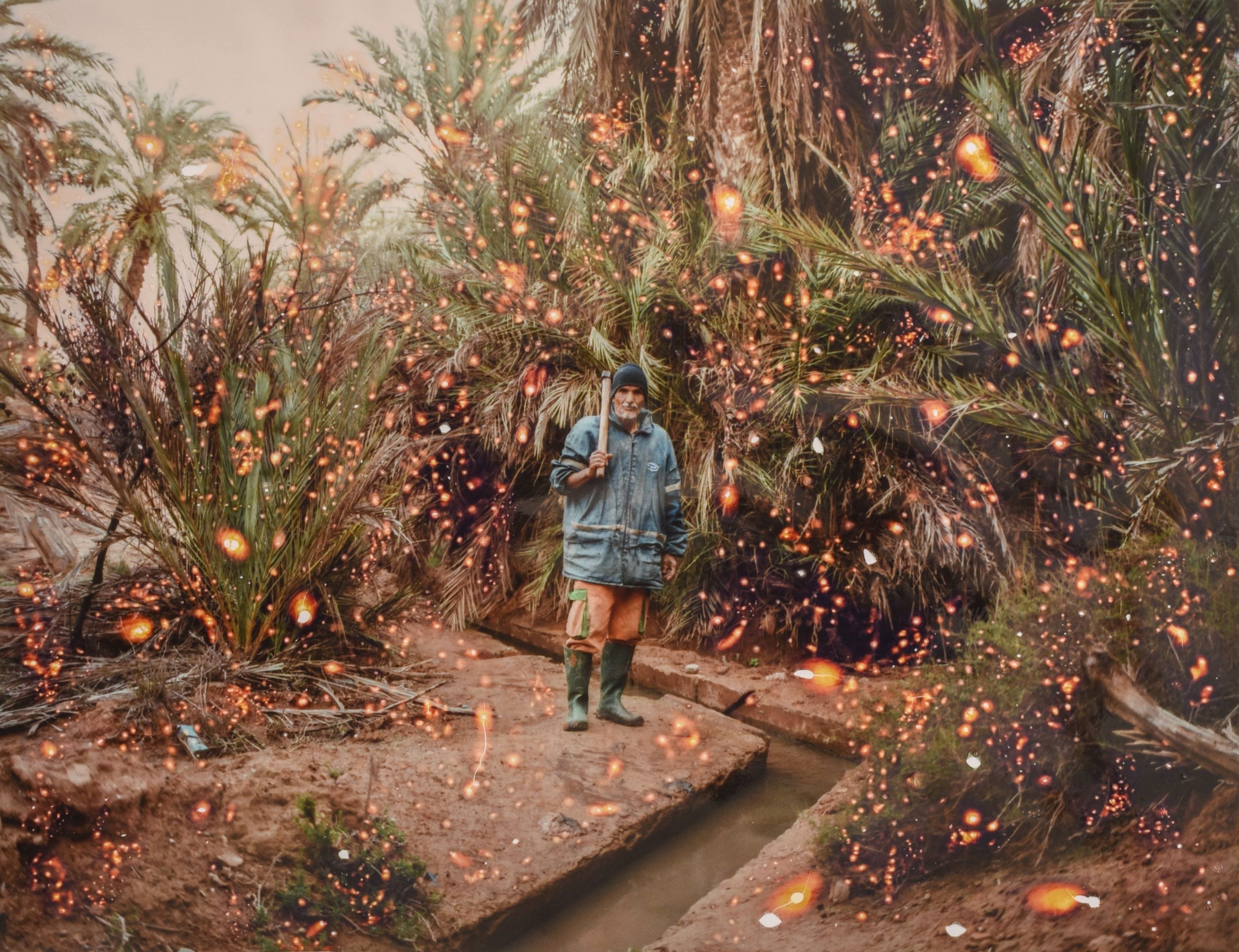 Portrait of a man standing at an oasis in Morocco, surrounded with palm trees. The photo appears to be damaged by fire sparks.