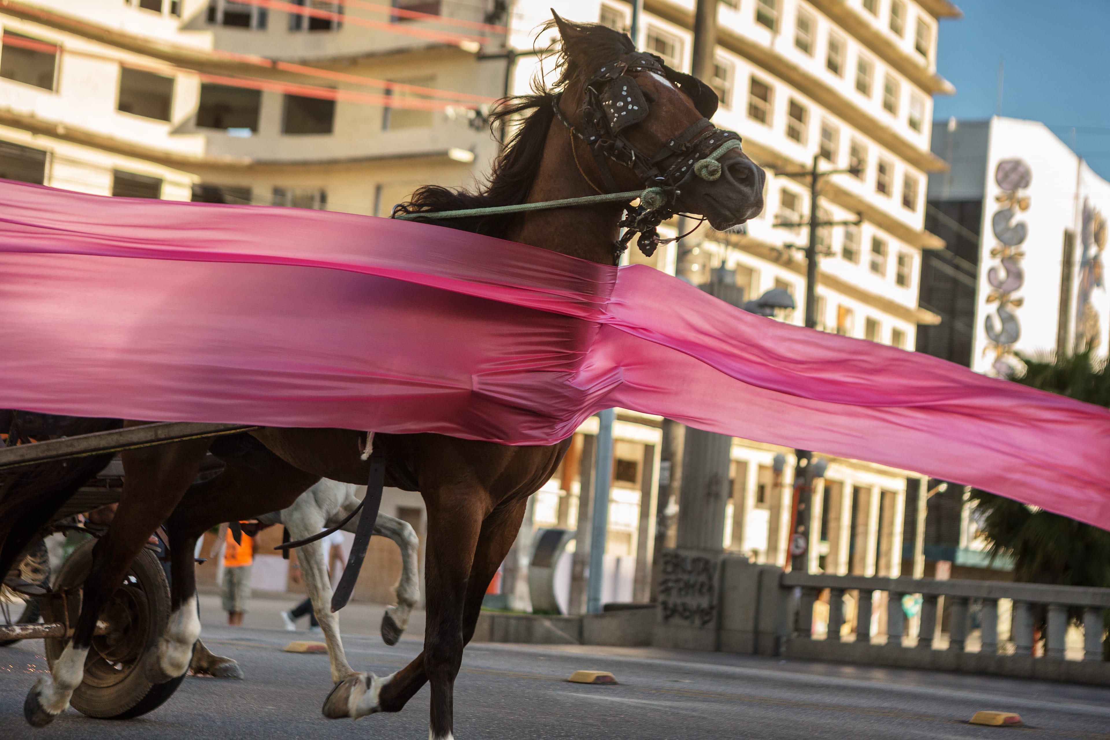 1ª Corrida de Carroças do Centro do Recife / O Levante  (1st Horse-Drawn Cart Race of Downtown Recife/ The Uprising), 2012-2014 C Jonathas de Andrade