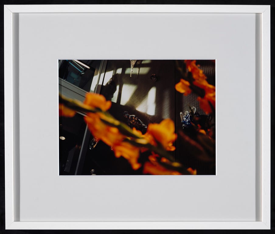 View through orange-red flowers onto a framework of a building. Photograph by Maarten van Schaik